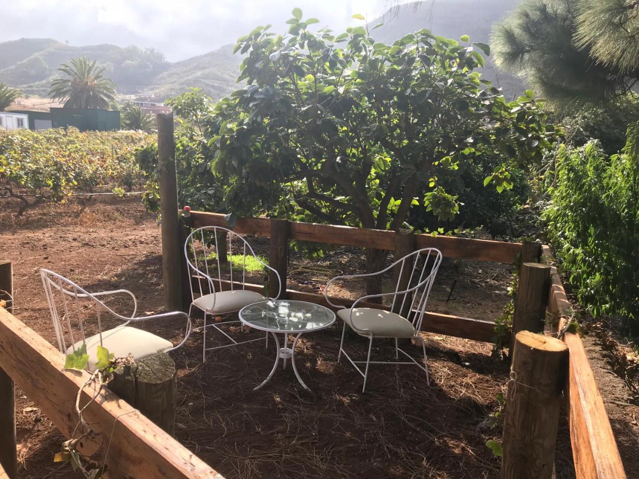 Finca El Vergel Rural Tegueste Exteriér fotografie