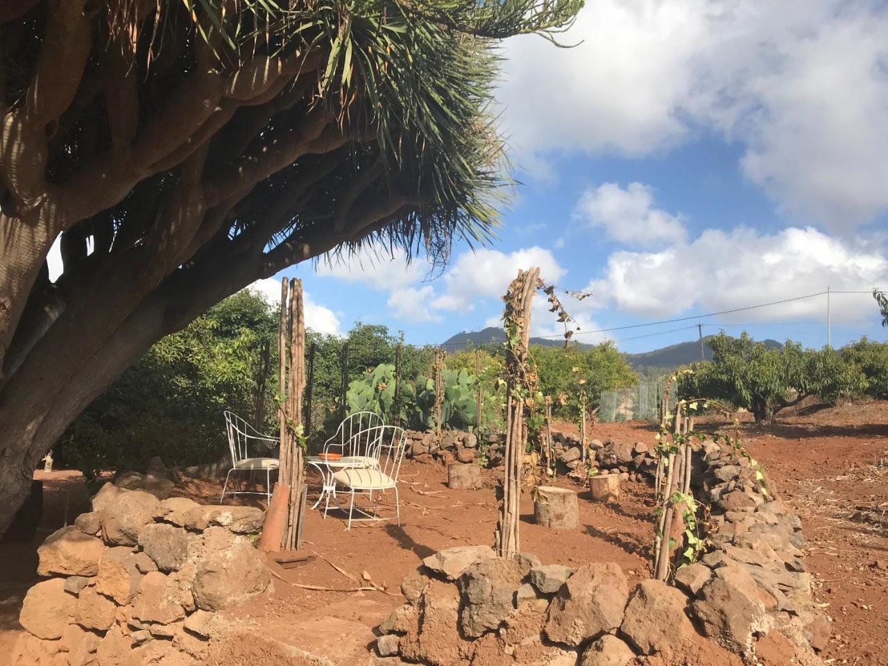 Finca El Vergel Rural Tegueste Exteriér fotografie